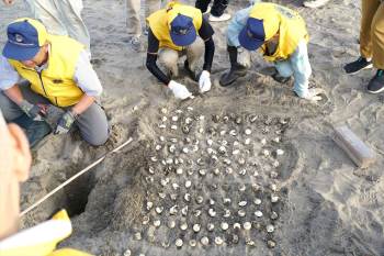 20250922-9r2z-hikari-02