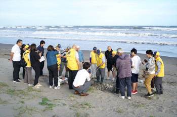 20250922-9r2z-hikari-03