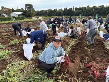 20251108-narita-green-01