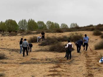 NO64-内モンゴル自治区のオルドス砂漠の緑化植樹１　船橋中央LC-01