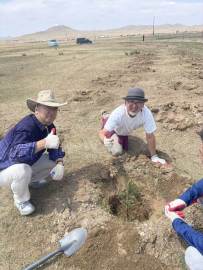 NO70-モンゴルウランバートル砂漠の緑化植樹２　船橋中央LC-12
