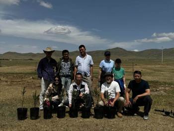 NO72-モンゴルウランバートル砂漠の緑化植樹２　船橋中央LC-14