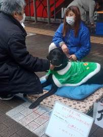 NO119-新しい奉仕考える研修盲導犬支援_冨里LC-31