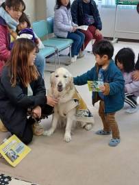 NO138-ふれあい福祉「介助犬」冨里LC