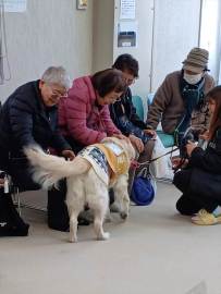 NO140-ふれあい福祉「介助犬」冨里LC