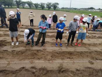 NO167-農業体験-落花生-玉ねぎの植付け・収穫体験-白子LC