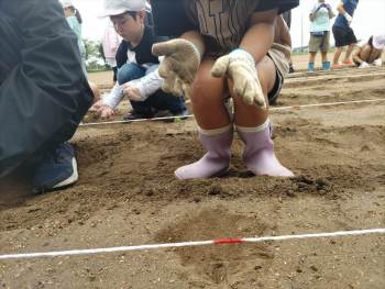 NO168-農業体験-落花生-玉ねぎの植付け・収穫体験-白子LC