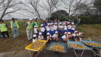 NO169-農業体験-落花生-玉ねぎの植付け・収穫体験-白子LC