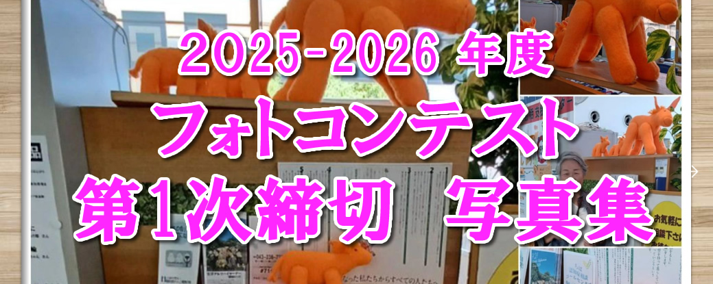 2025－2026　第一次締め切り写真集