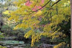 2025OSEAL-9 2025OSEAL-9