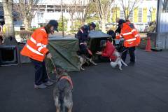 20260110-pet-peopleCN01-13