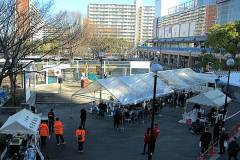 20260110-pet-peopleCN01-94