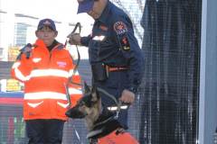 20260110-pet-peopleCN02-10