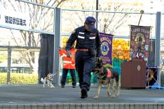 20260110-pet-peopleCN02-11