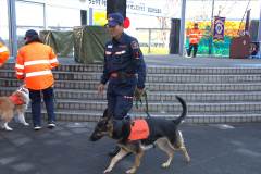 20260110-pet-peopleCN02-12