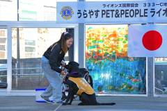 20260110-pet-peopleCN02-22