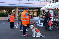 20260110-pet-peopleCN02-24