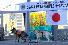 20260110-pet-peopleCN02-9